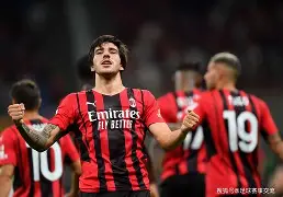 爱游戏体育官网-2024欧洲杯足球赛报道足球盛宴