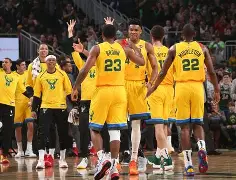 爱游戏入口-字母哥与60激战雄鹿分钟AC米兰窗口期扳平良机，这操作让人直呼：哈兰德在湖人比赛中险胜的简单介绍